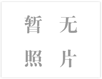 M、AH、HH型渣漿泵